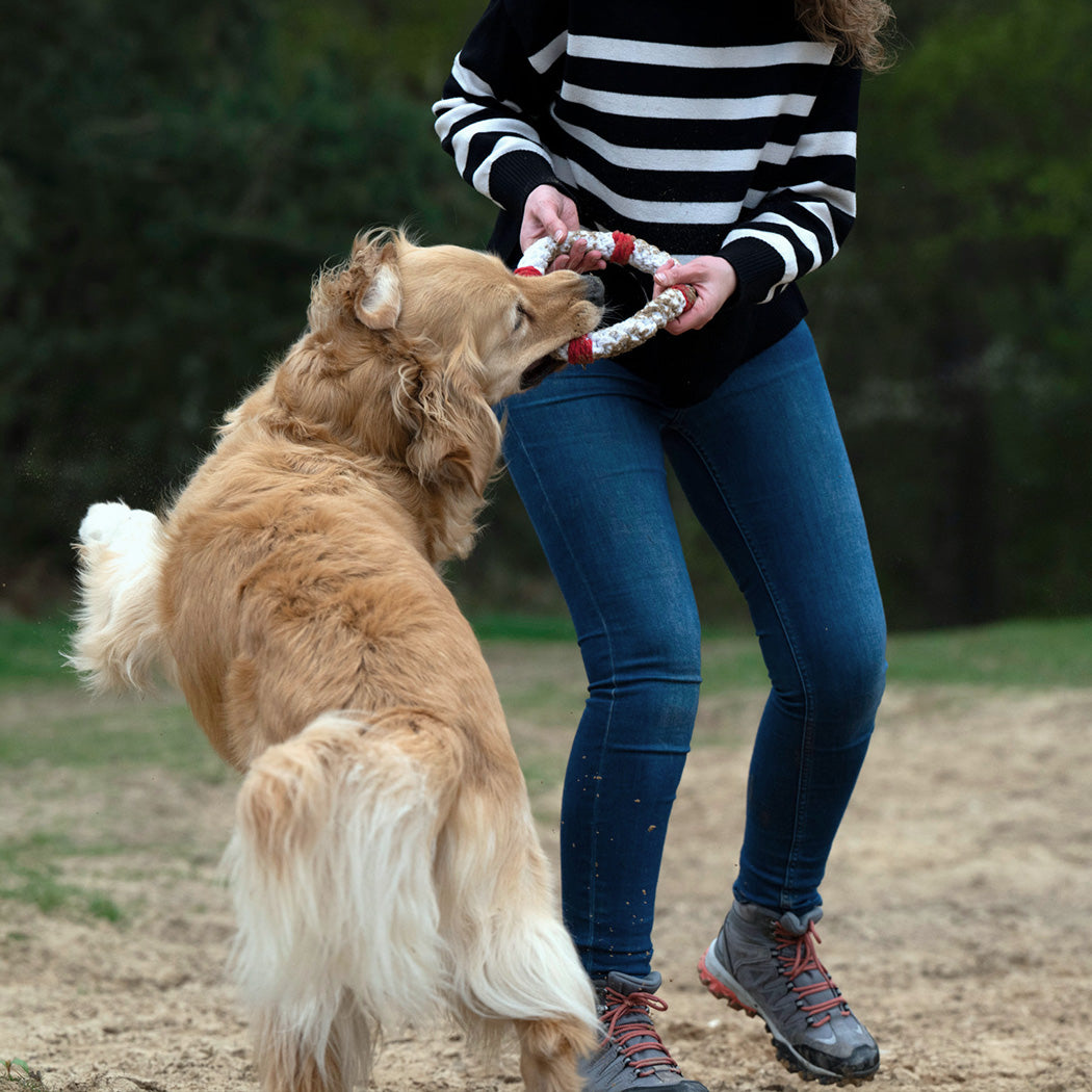 Ahoi Spielzeug-Set für Hunde