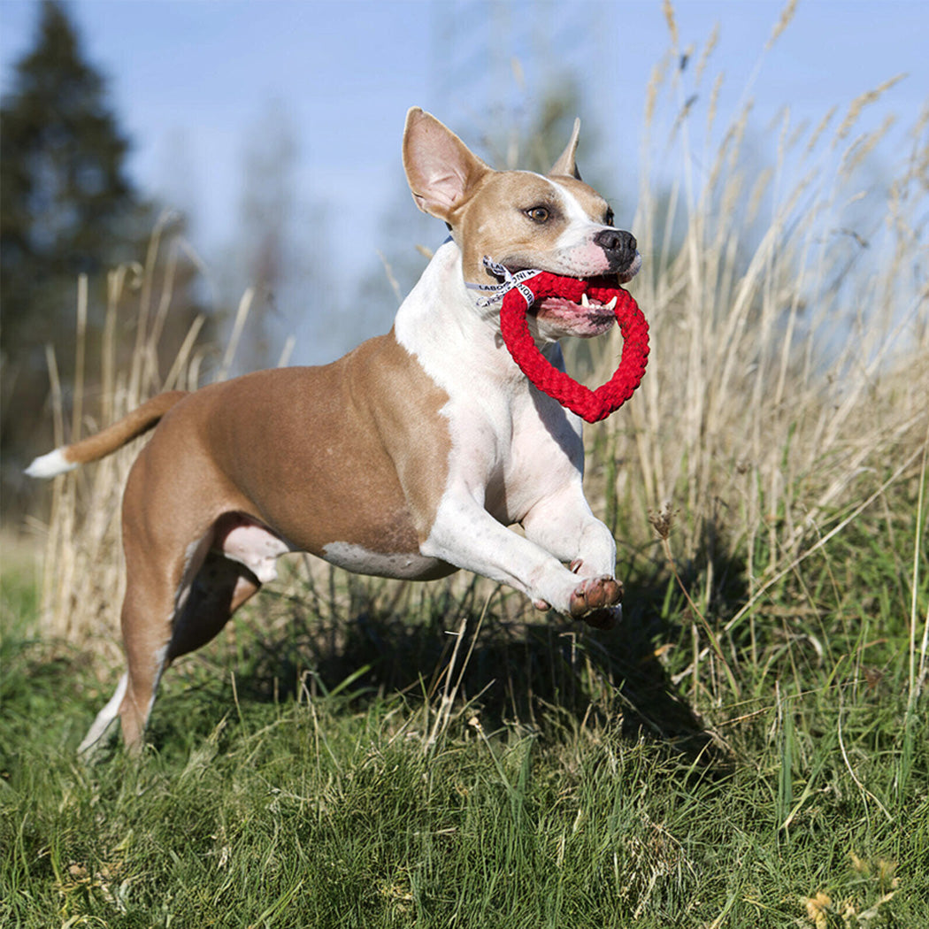 Hundespielzeug-Set "Bayerische Träume"