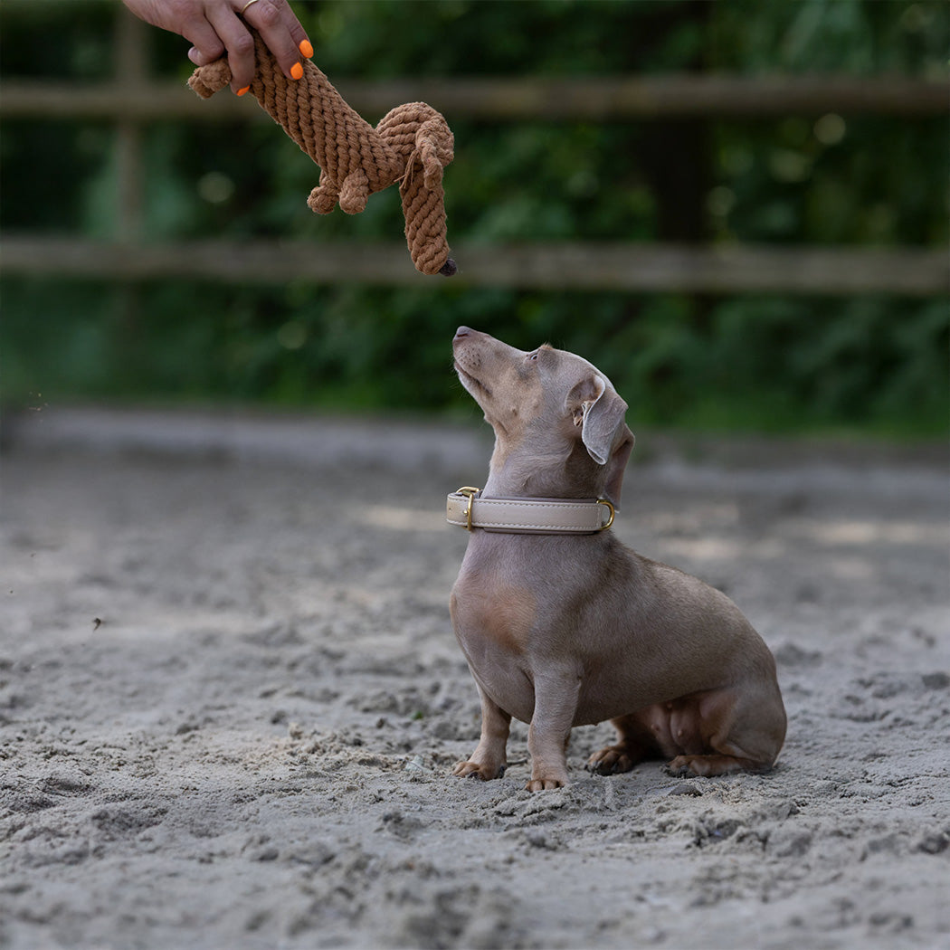 Hundespielzeug-Set "Bayerische Träume"